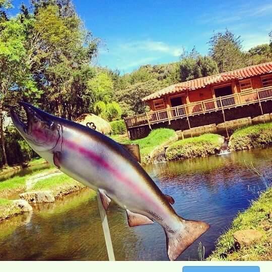 מלון גוארנה Refugio Del Pescador מראה חיצוני תמונה